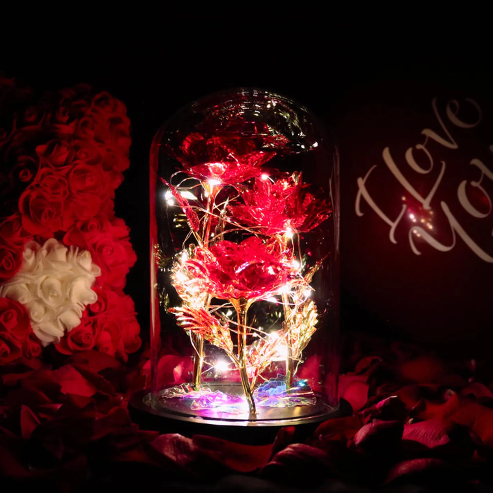 Preview /698c8d71859a4e0009c78783/2026/02/11/product-img-698c912c6f539c4f6d62abc0.png