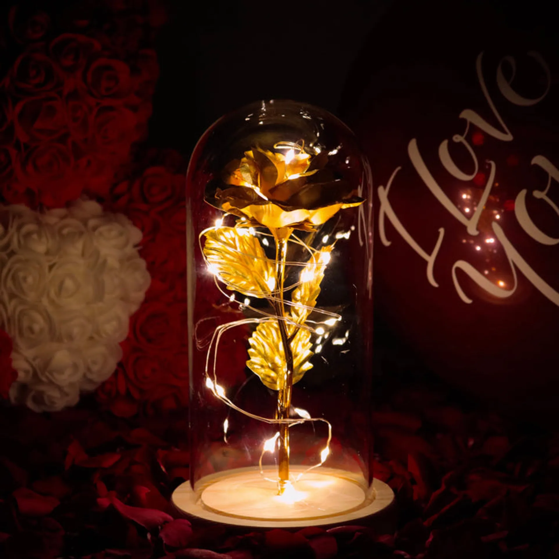 Preview /698c8d71859a4e0009c78783/2026/02/11/product-img-698c912d6f539c4f6d62abc6.png